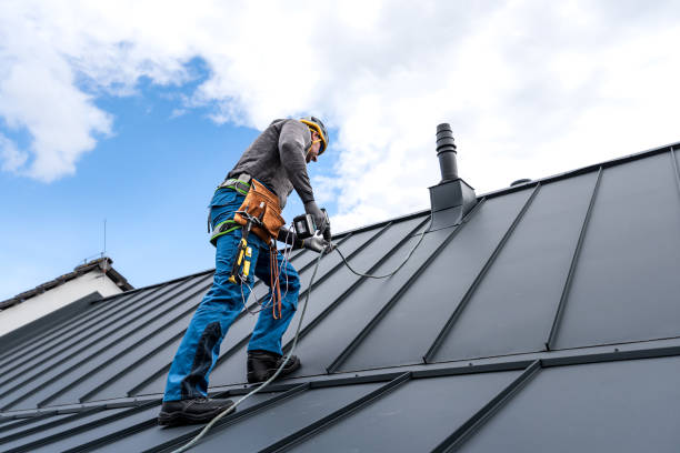 Best Solar Panel Roofing Installation  in Sachse, TX